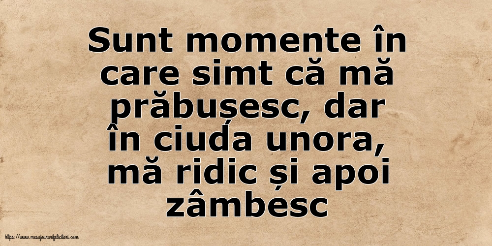 Familie Sunt momente în care simt că mă prăbușesc