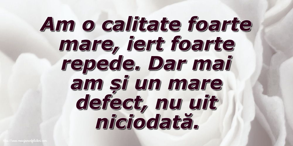 Familie Am o calitate foarte mare... Dar mai am și un mare defect