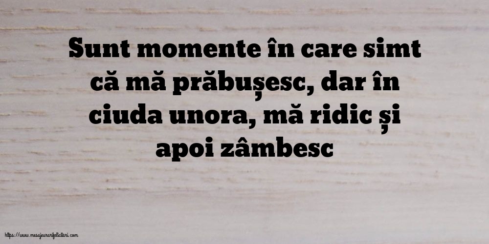 Familie Sunt momente în care simt că mă prăbușesc
