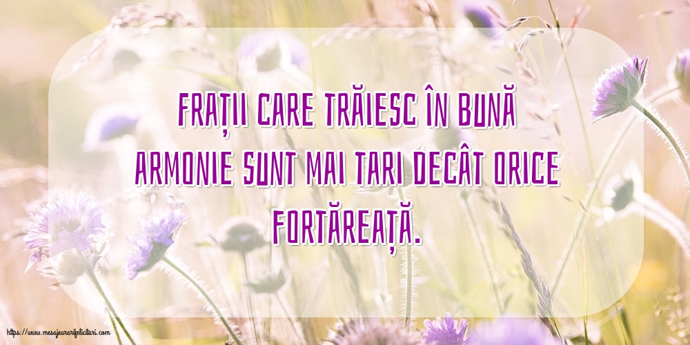 Familie Frații care trăiesc în bună armonie sunt mai tari decât orice fortăreață