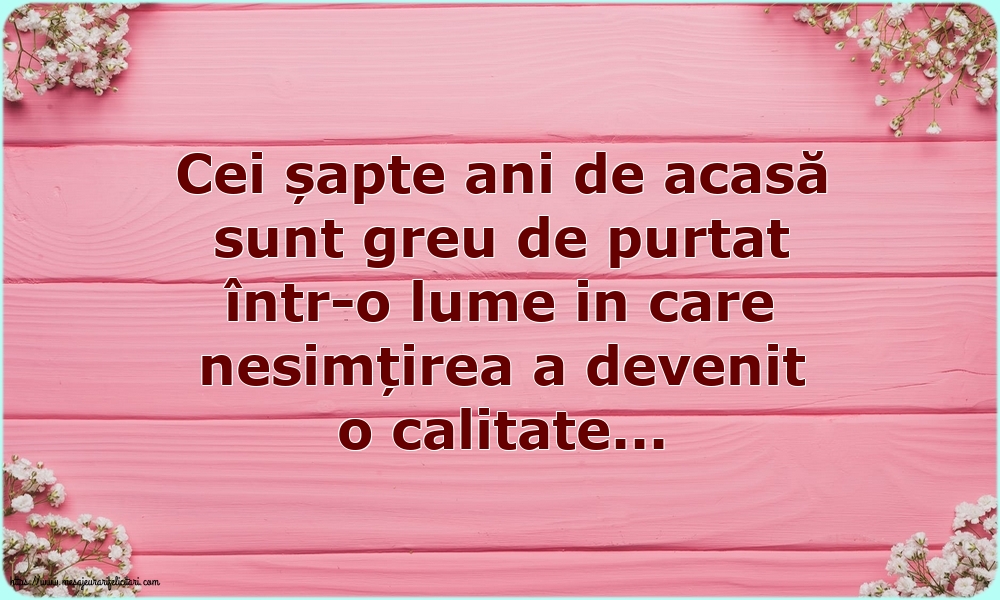 Familie Cei șapte ani de acasă