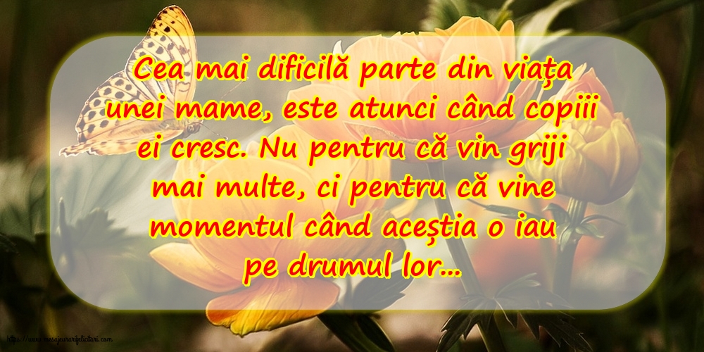 Imagini despre Familie - Cea mai dificilă parte din viața unei mame - mesajeurarifelicitari.com