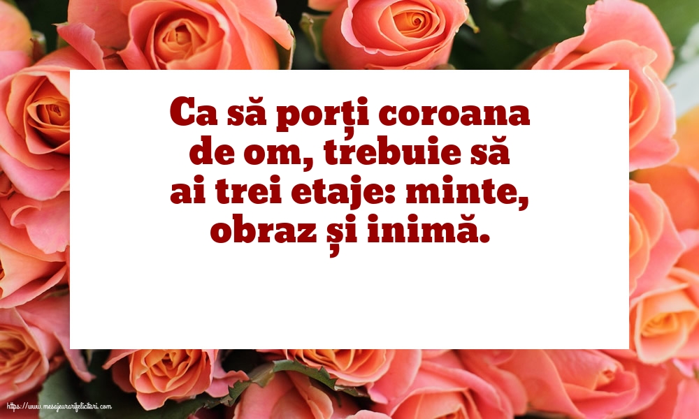 Imagini despre Familie - Ca să porți coroana de om, trebuie să ai trei etaje: minte, obraz și inimă. - mesajeurarifelicitari.com