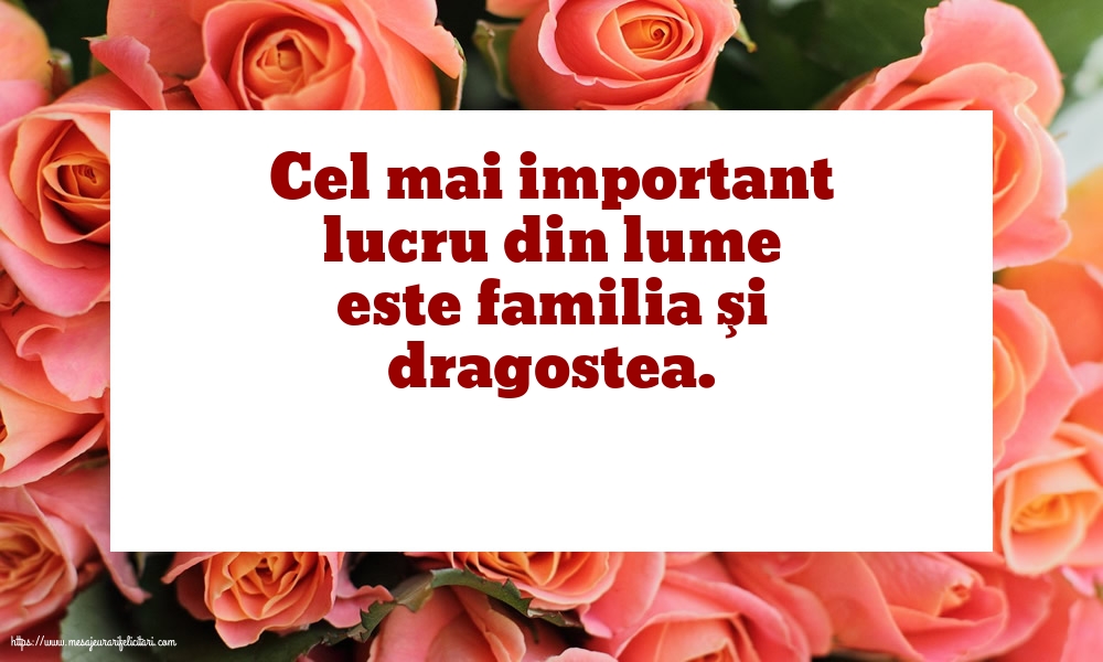 Familie Cel mai important lucru din lume este familia şi dragostea.