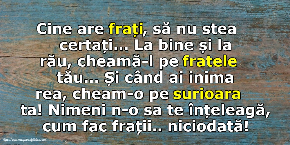 Imagini despre Familie - Nimeni n-o sa te înțeleagă, cum fac frații.. niciodată! - mesajeurarifelicitari.com