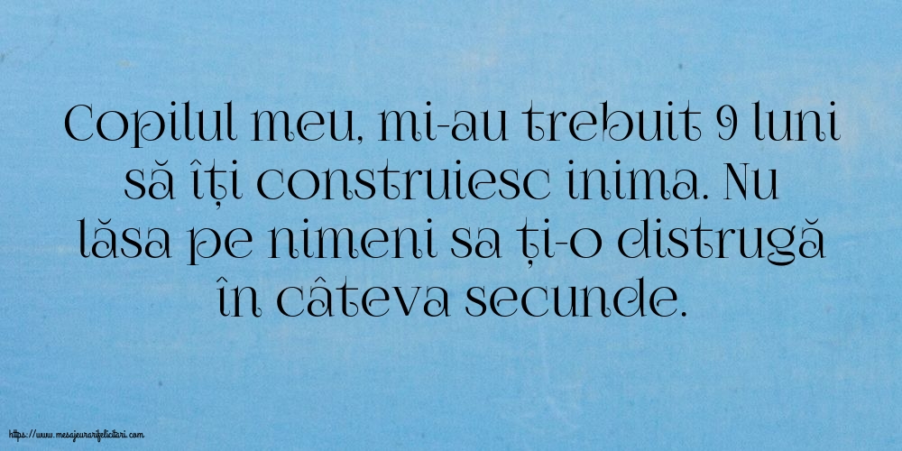 Familie Copilul meu, mi-au trebuit 9 luni să îți construiesc inima.