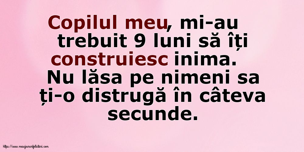 Familie Copilul meu, mi-au trebuit 9 luni să îți construiesc inima.
