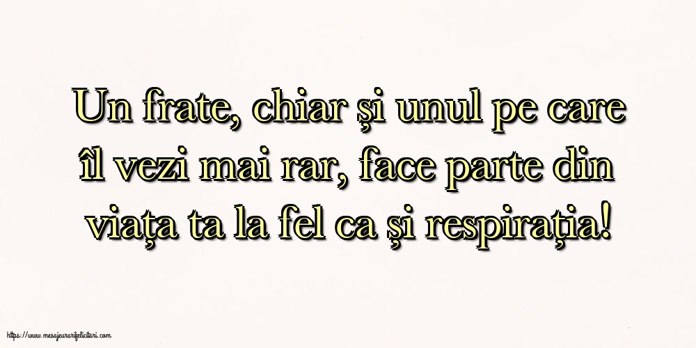 Familie Pentru fratele meu