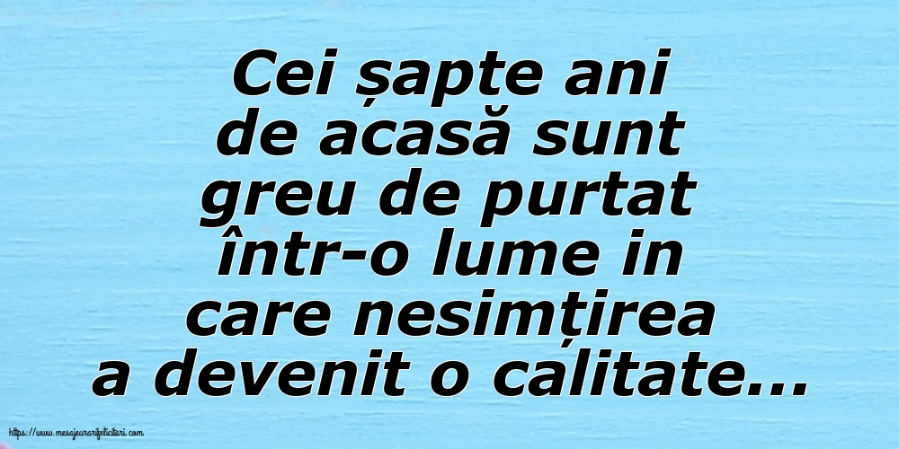Familie Cei șapte ani de acasă