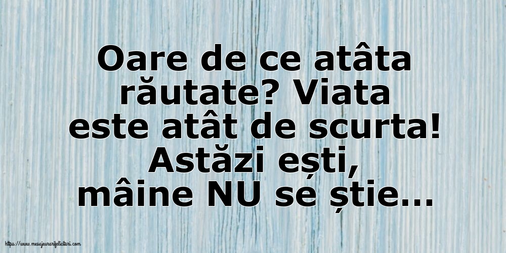 Oare de ce atâta răutate?