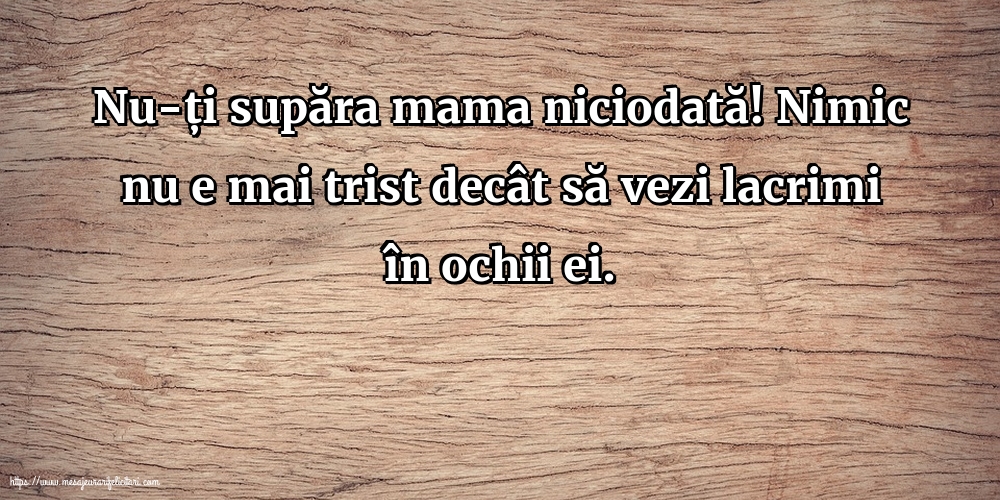 Familie Nu-ți supăra mama niciodată!