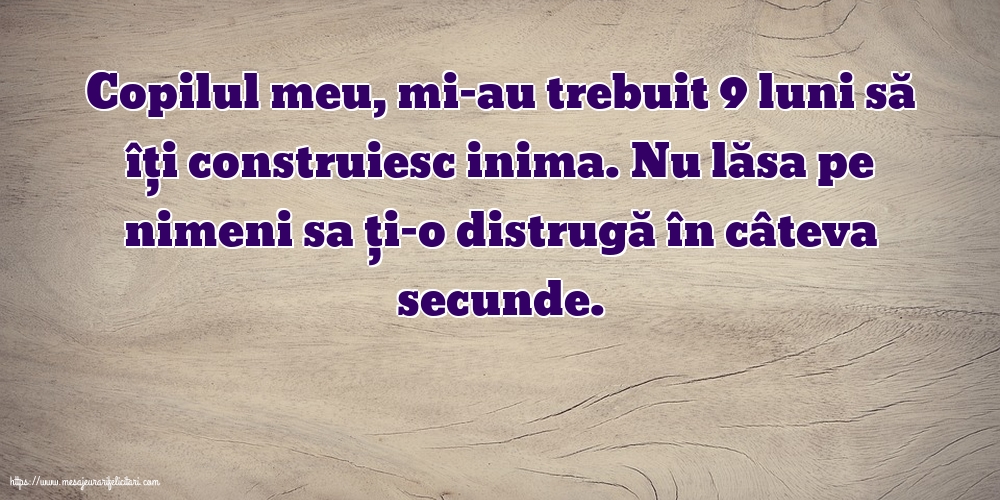 Familie Copilul meu, mi-au trebuit 9 luni să îți construiesc inima.