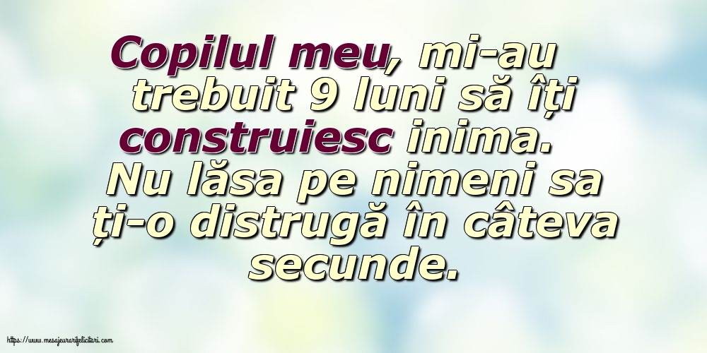 Familie Copilul meu, mi-au trebuit 9 luni să îți construiesc inima.