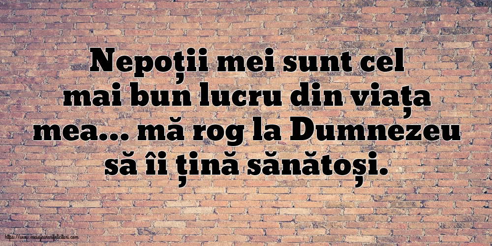Nepoții mei sunt cel mai bun lucru din viața mea…