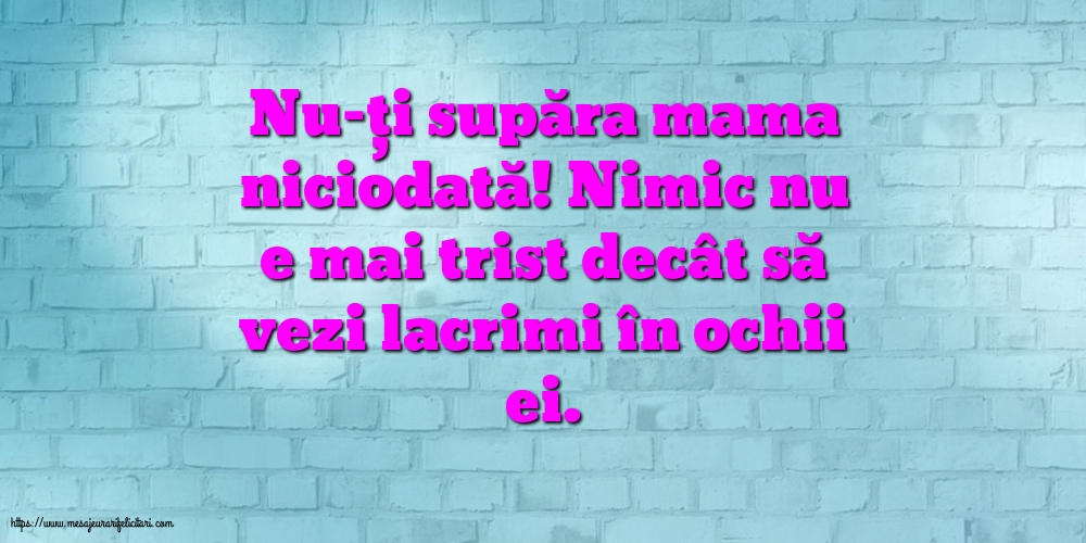 Familie Nu-ți supăra mama niciodată!