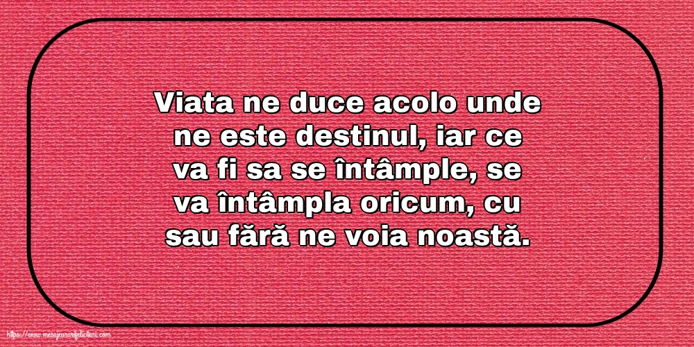 Familie Viata ne duce acolo unde ne este destinul