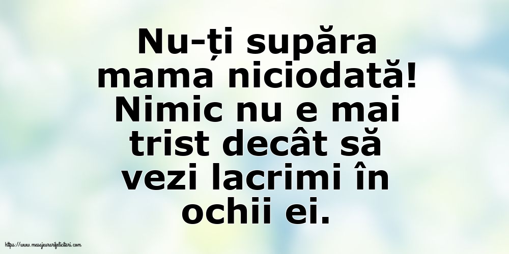 Familie Nu-ți supăra mama niciodată!