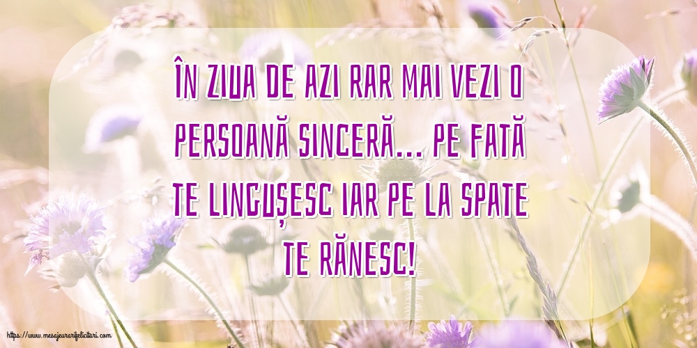 Familie În ziua de azi rar mai vezi o persoană sinceră