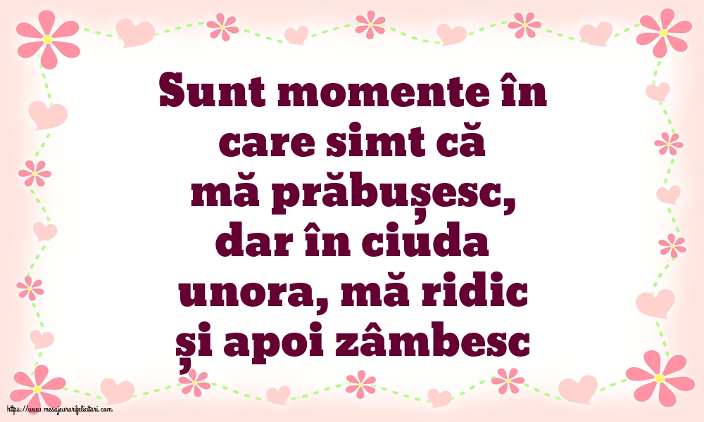 Familie Sunt momente în care simt că mă prăbușesc