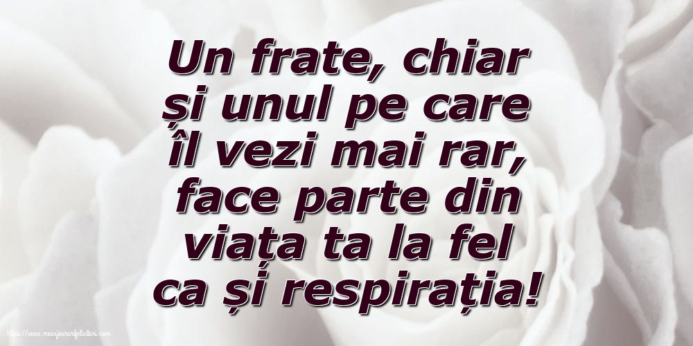 Familie Pentru fratele meu