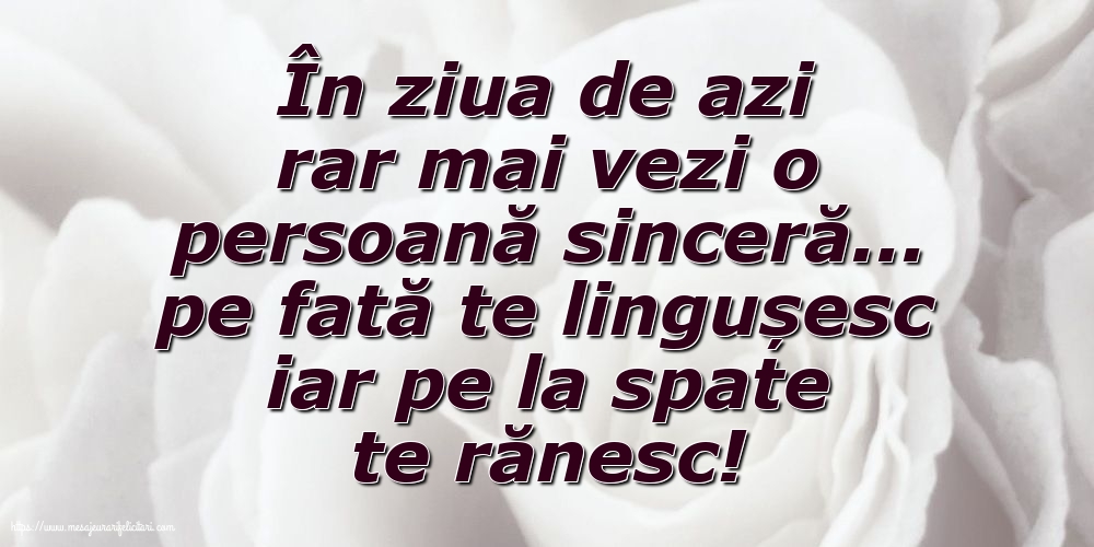 Familie În ziua de azi rar mai vezi o persoană sinceră