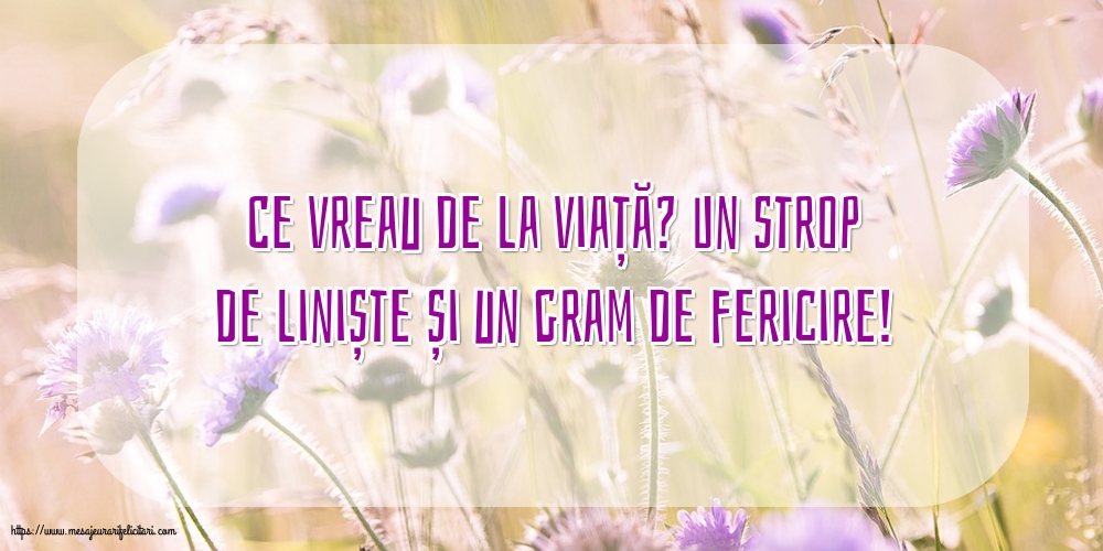 Familie Ce vreau de la viață