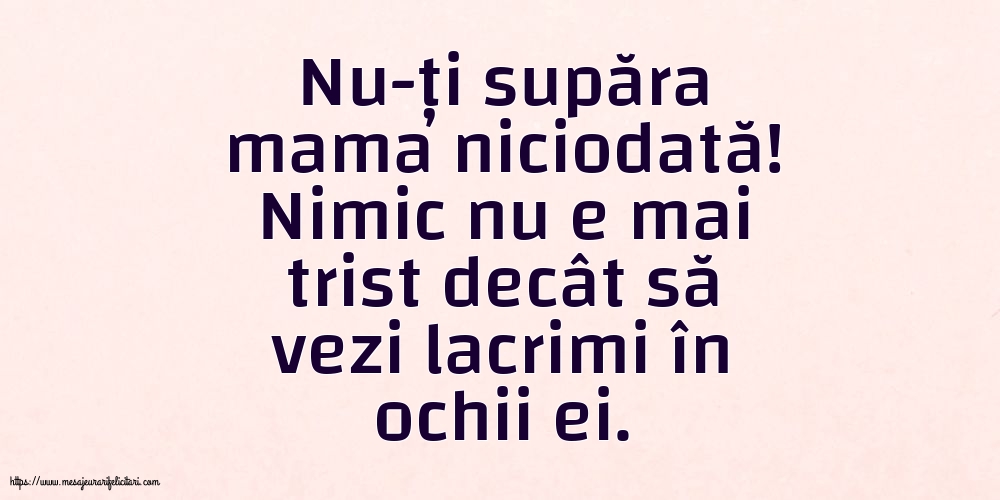 Familie Nu-ți supăra mama niciodată!