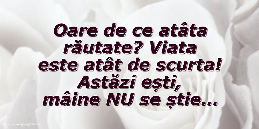 Familie Oare de ce atâta răutate?