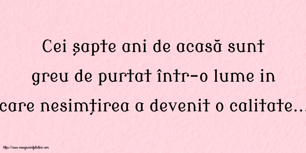 Familie Cei șapte ani de acasă