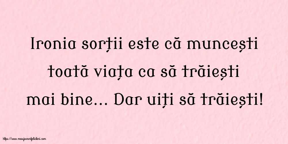 Familie Ironia sorții