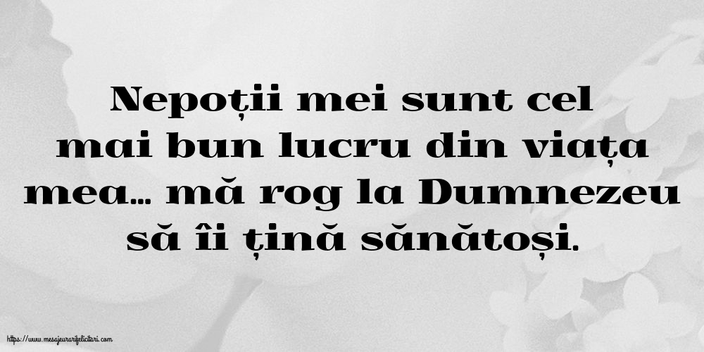 Familie Nepoții mei sunt cel mai bun lucru din viața mea…