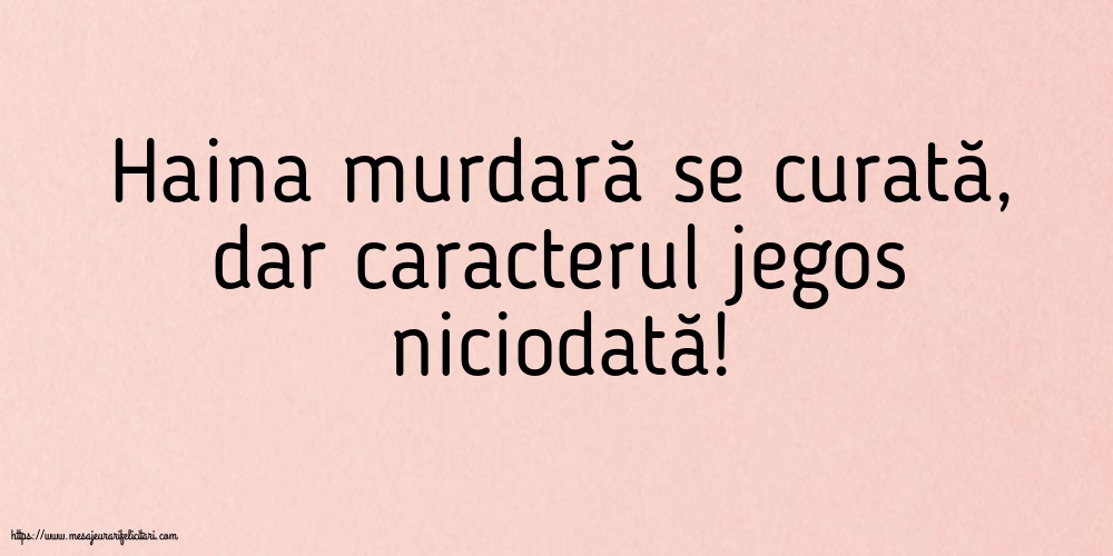 Familie Haina murdară se curată