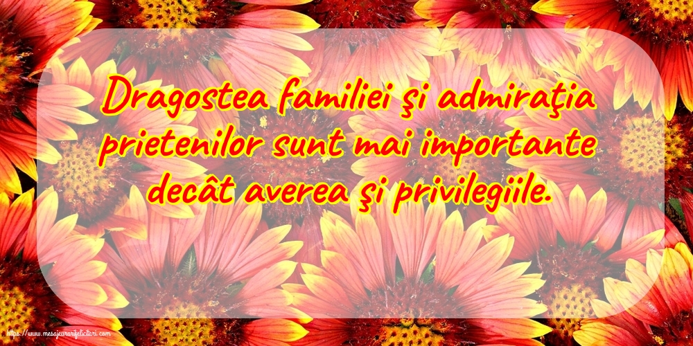 Familie Dragostea familiei şi admiraţia prietenilor
