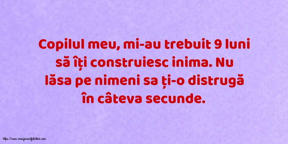 Familie Copilul meu, mi-au trebuit 9 luni să îți construiesc inima.