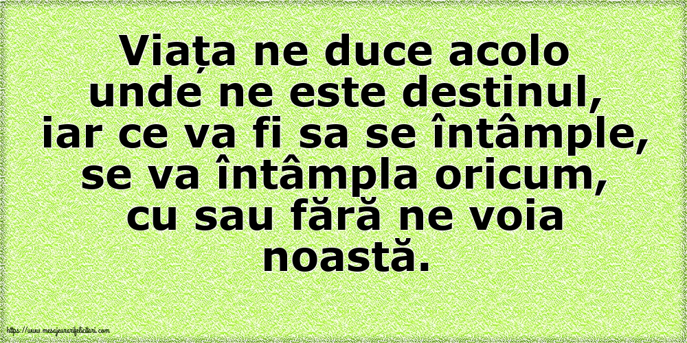 Familie Viata ne duce acolo unde ne este destinul