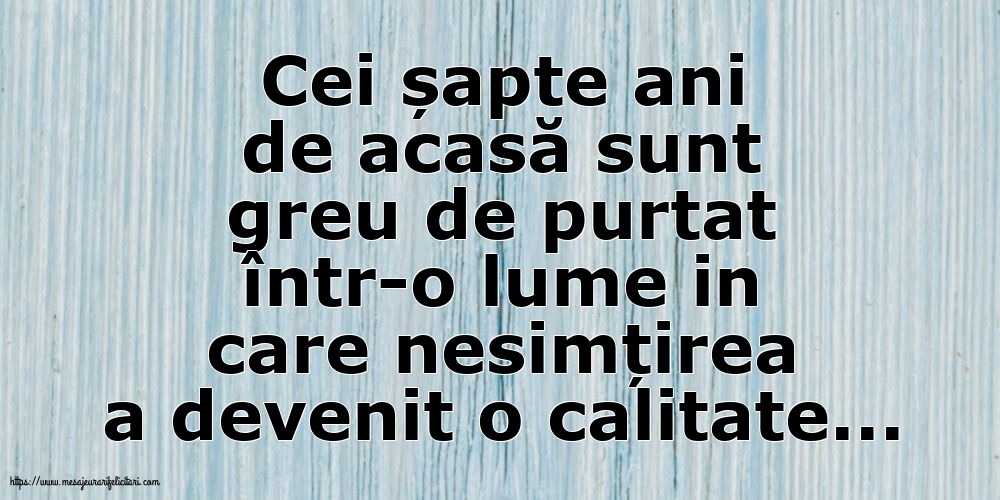 Cei șapte ani de acasă