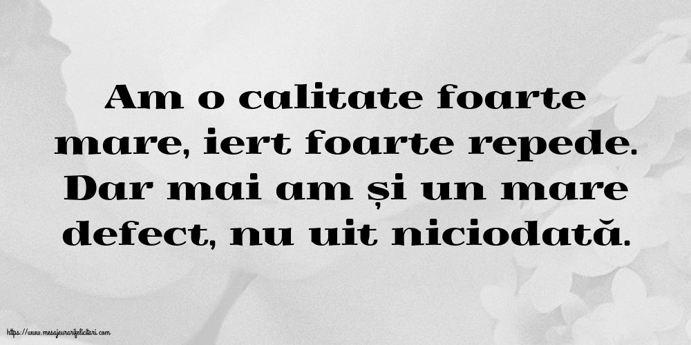 Familie Am o calitate foarte mare... Dar mai am și un mare defect
