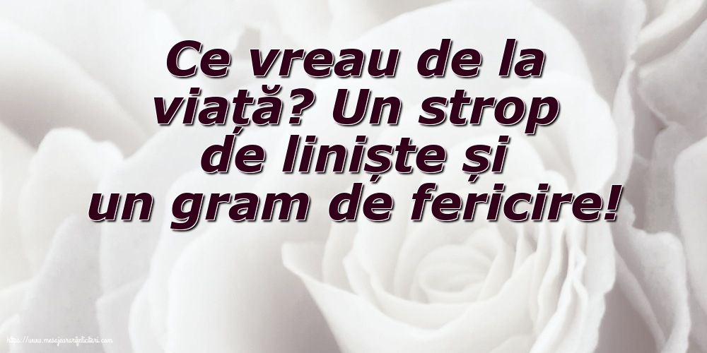 Familie Ce vreau de la viață