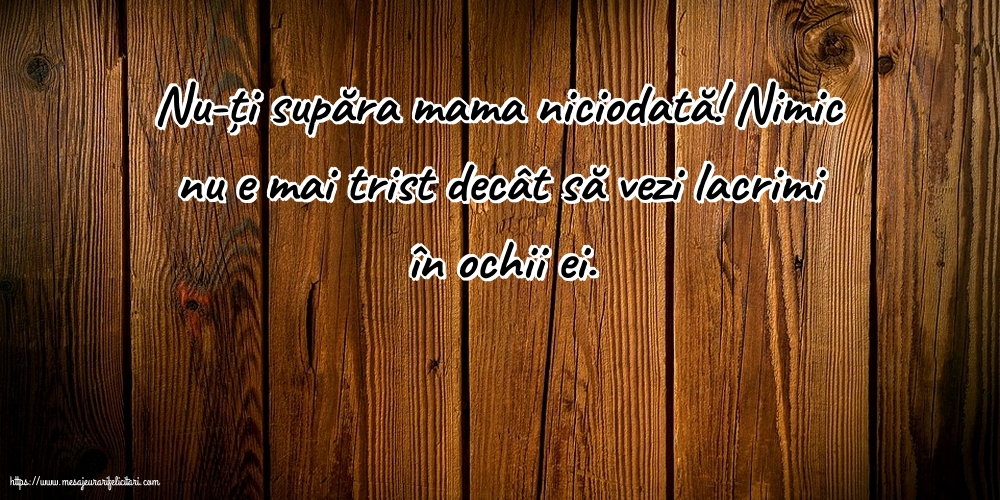 Familie Nu-ți supăra mama niciodată!