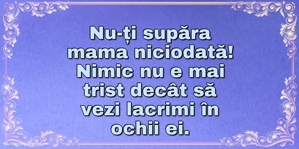 Familie Nu-ți supăra mama niciodată!