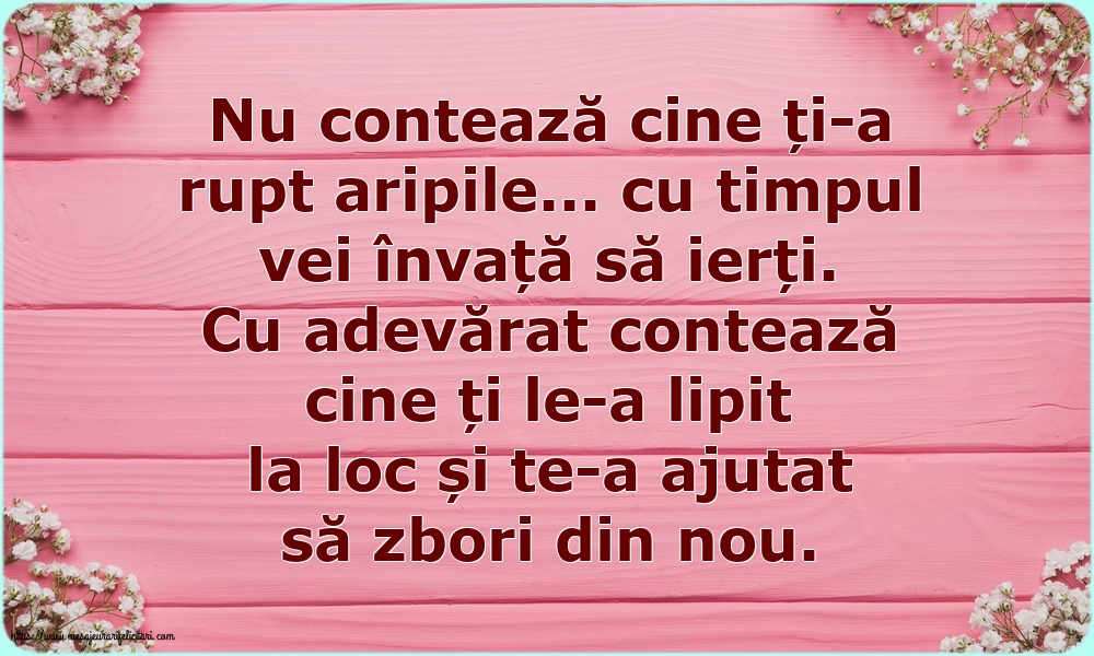 Nu contează cine ți-a rupt aripile...
