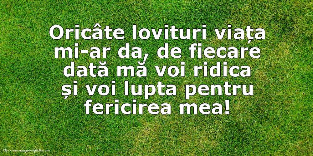 Familie Oricâte lovituri