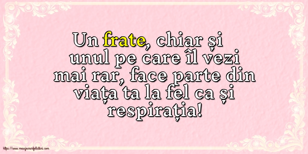 Familie Pentru fratele meu