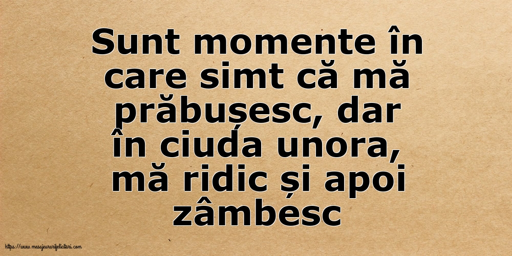 Familie Sunt momente în care simt că mă prăbușesc