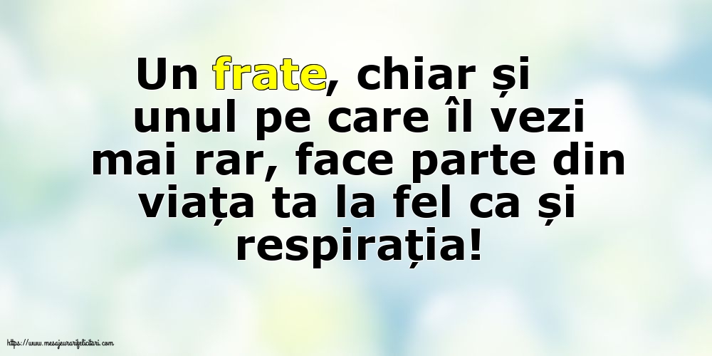 Familie Pentru fratele meu