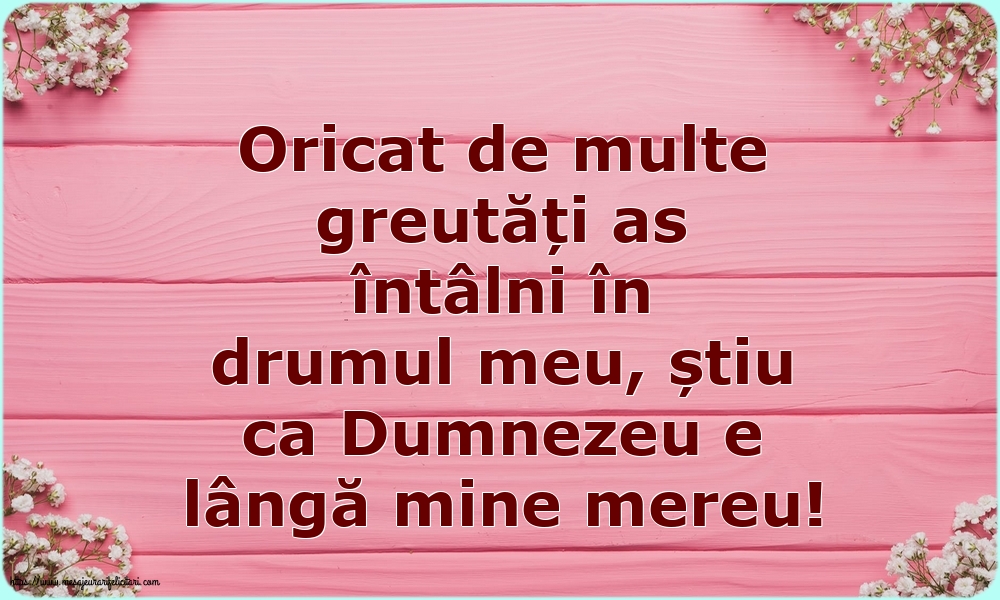 Familie Oricat de multe greutăți as întâlni în drumul meu
