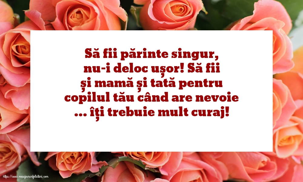 Familie Să fii părinte singur, nu-i deloc ușor!