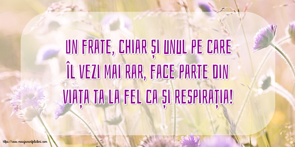 Familie Pentru fratele meu