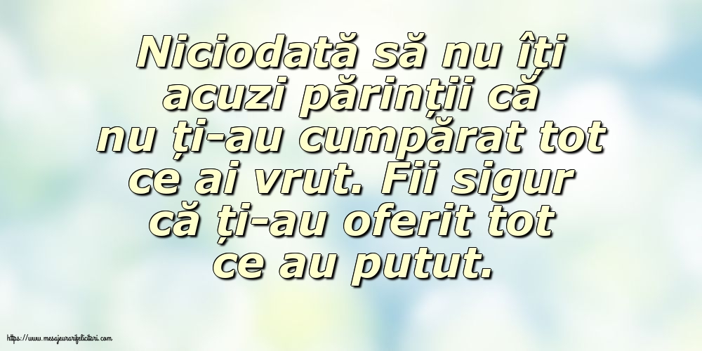 Familie Niciodată să nu îți acuzi părinții că nu ți-au cumpărat tot ce ai vrut.