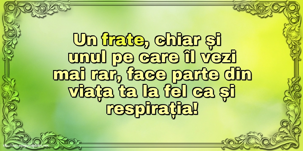 Familie Pentru fratele meu